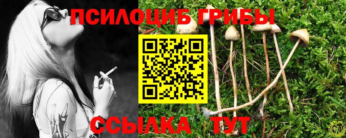 Галлюциногенные грибы прущие грибы  Вход с VPN  Югорск 