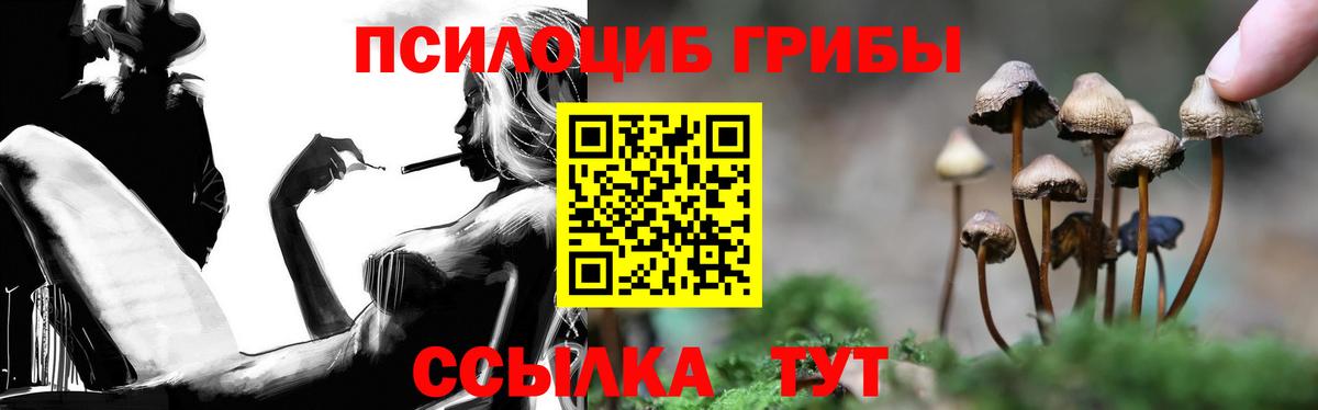 Псилоцибиновые грибы Magic Shrooms Югорск