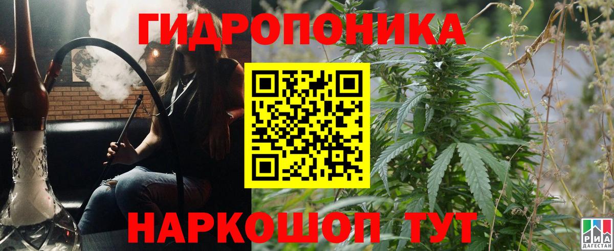 Каннабис сатива Югорск